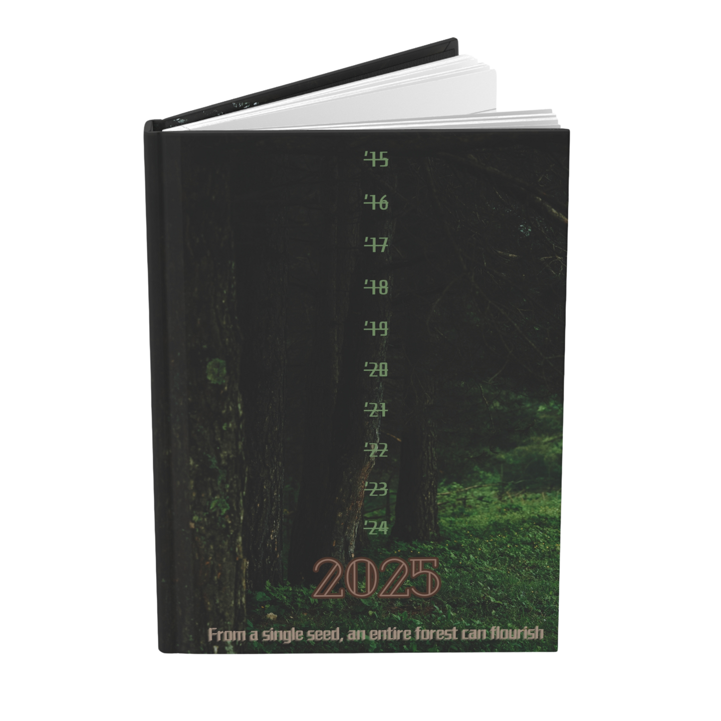 2025 Manifestation Journal | Self-Improvement Journal